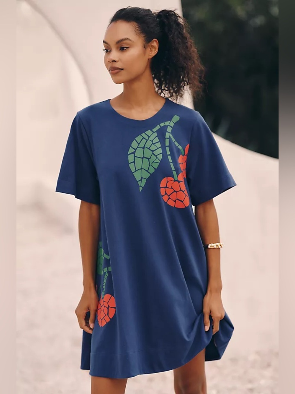Anthropologie Celandine Graphic Short Sleeve Mini Swing Dress NWT